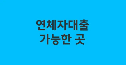 부채 문제 해결을 위한 연체자대출 활용 방안